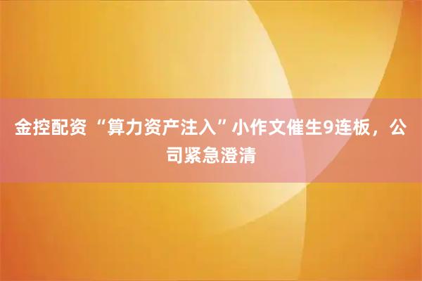 金控配资 “算力资产注入”小作文催生9连板，公司紧急澄清