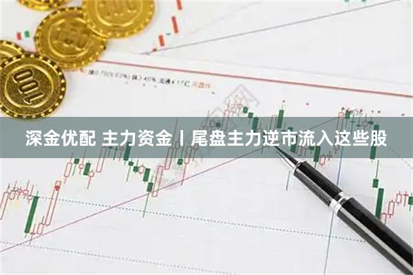 深金优配 主力资金丨尾盘主力逆市流入这些股